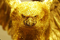 gold_bird